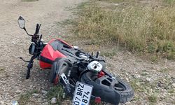 Kaza yapmamak için yola devrildi