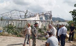 Gazipaşa'da 100-120 dekar alanda hasar oluştu