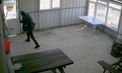 Köpeğe dehşet yaşattı