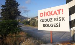 4 mahallede kuduz karantinası!