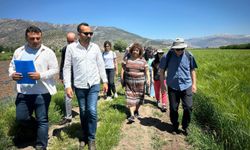 Cezaevlerinde organik tarım eğitimi