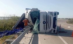 Domates yüklü TIR kaza yaptı