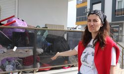 Apartmanda köpek besleme krizi!