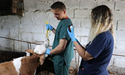 Kamu emekçileri çözüm bekliyor