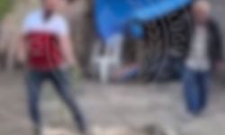 Köpek dövüştüren 2 kişiye gözaltı