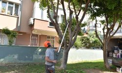 Kepez'de park yenilemesi