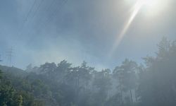 Marmaris'te orman yangını