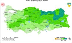 Nisan ayında 9 ilde yağış rekoru