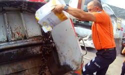 Alanya'da 50 kilo midye imha edildi