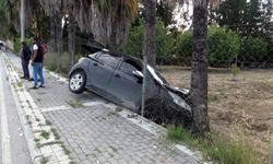 Manavgat'ta otomobil ağaca çarptı