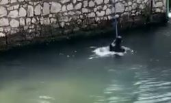 Polisi görünce dereye atladı az kalsın boğuluyordu
