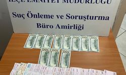 Kemer'de sahte dolar alarmı