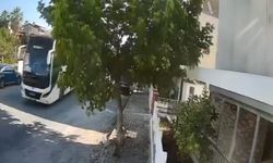 Sokakta yatan köpeği ezip yoluna devam etti