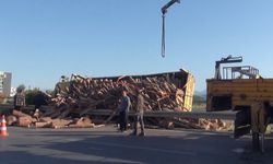 Manavgat'ta tomruk yüklü kamyon devrildi