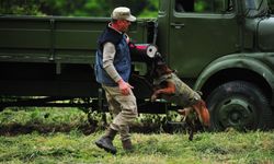 TSK'nın 'kahraman köpekleri'