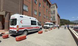 Kenenin ısırdığı küçük çocuk hayatını kaybetti