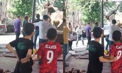 Kızgın boğa kabusu yaşattı