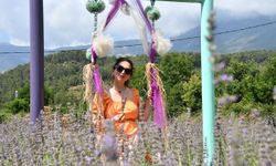 Lavanta bahçesi turları başlıyor