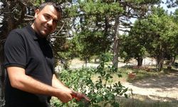 Ölmeden ölüm ilanı verildi