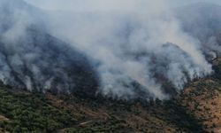 Kahramanmaraş’ta orman yangını