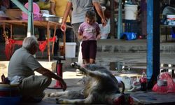 Antalya'da kurban kesim manzaraları; çocuklar da izledi