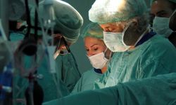 AÜ organ naklinde ilklerin arasında