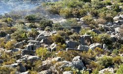 Finike'de yangın kontrol altında