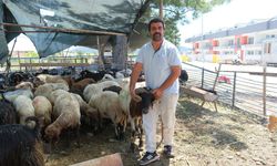 Kemer'de kurban denetimi