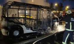 Minibüs küle döndü sürücü yaralandı