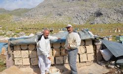 Antalya'da kovanlar yaylalara çıkarıldı