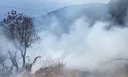 Bahçe yangını büyümeden söndürüldü