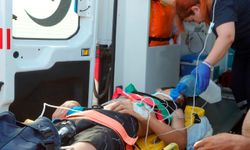 Falezlerden ölüme atlayış