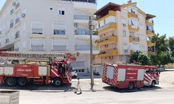 Baca temizliği korkuttu