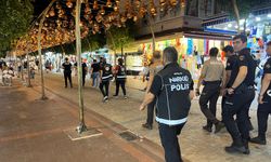 Alanya'da 'huzur' denetimi
