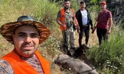Gündoğmuş’ta domuz avı