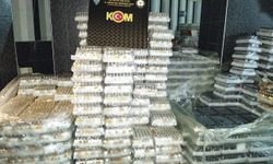 Antalya'da kaçakçılık operasyonu