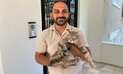 Apartmanı yılandan korudu