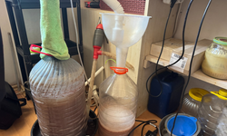 Evini labaratuvara çevirdi!