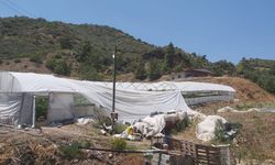 Kumluca'da hortum seralara zarar verdi