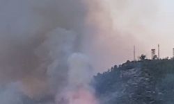 Yangında gözetleme kulesi alevler içinde kaldı