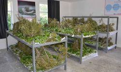 Büyükşehir'den tabla desteği