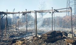 Tarla yangını evlere sıçradı