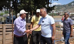 Gazipaşa'da kurban pazarı hareketlendi