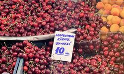 Tarımda kriz derinleşiyor!