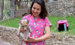 Doğal yaşam için hazırlanıyorlar