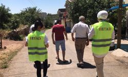 Proje meyvelerini vermeye başladı