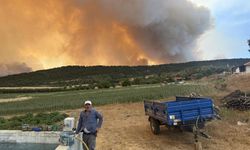 Bilecik'te yangın felaketi: 1 köy kül oldu!