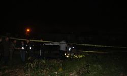 Kuzenini öldüren sanığa müebbet istemi