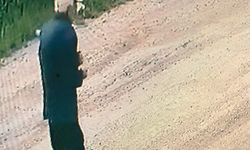 Mevlide gitmek için evden çıktı, kayboldu