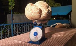 Devasa mantar şaşırttı